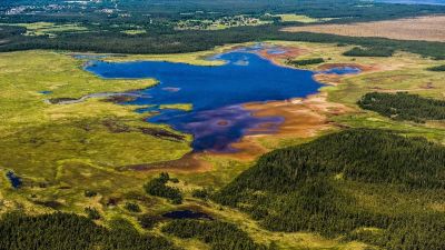 Flygbild över Store Mosse.