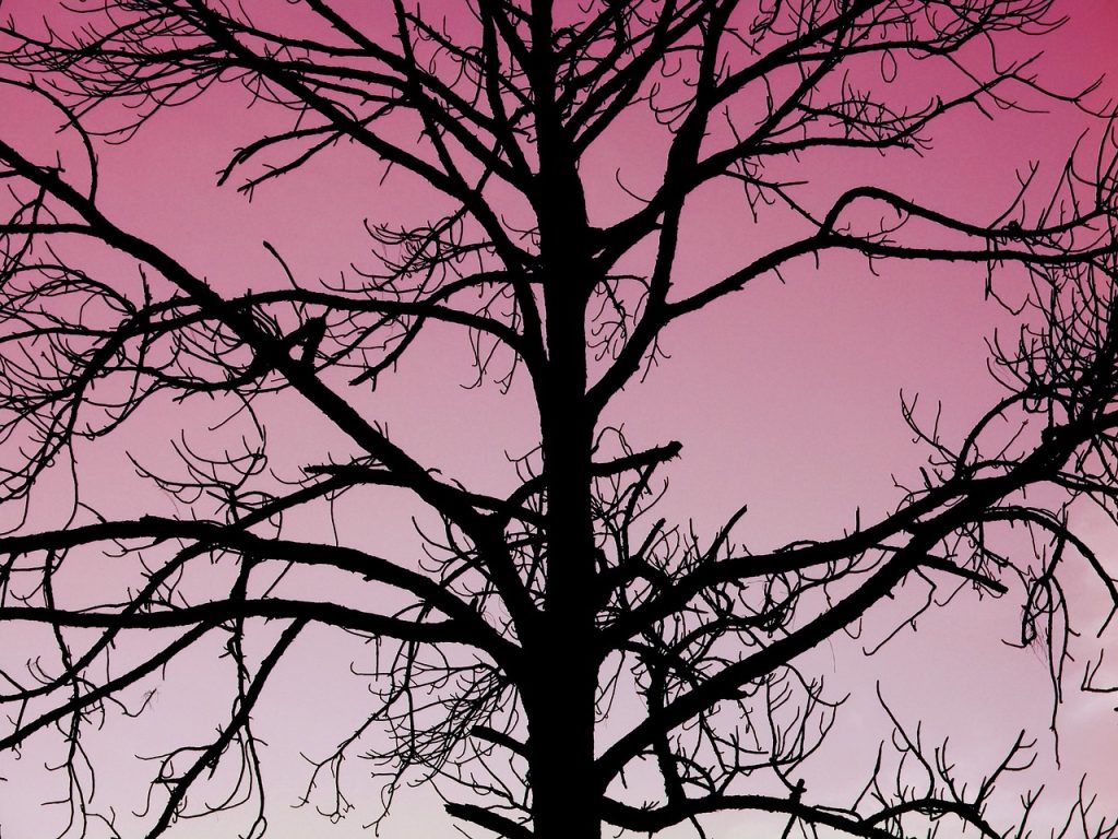 Spökhistoria: Rosa händer